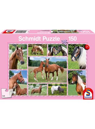 Schmidt 56269 - Pferdeträume 