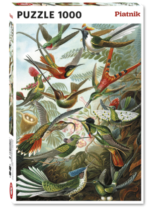 Piatnik - Haeckel - Kolibris